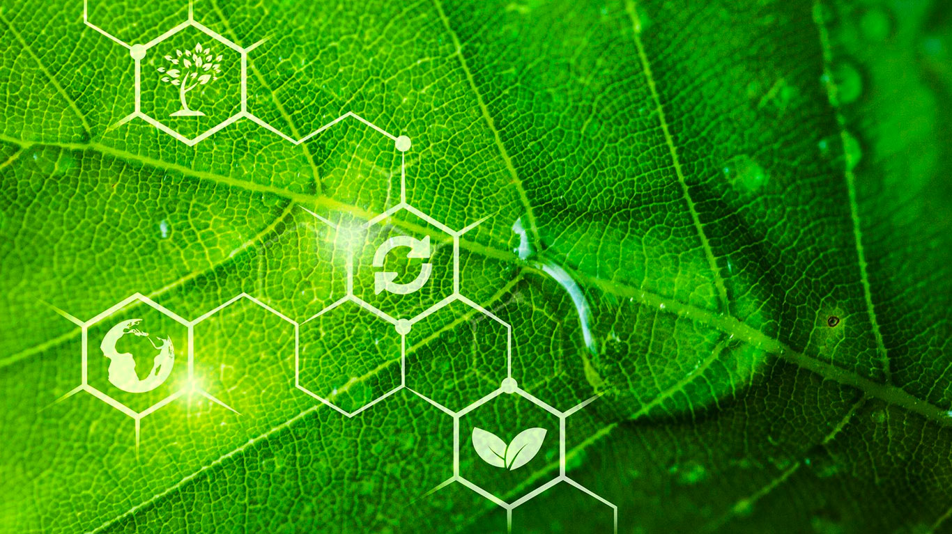 Bioeconomia e vantaggi fiscali: come l’energia rinnovabile sta cambiando il modo di investire (e risparmiare)